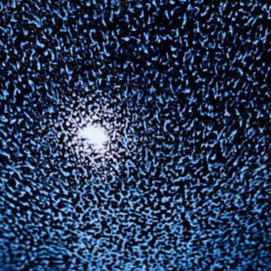 真右エ門窯が構築する『掌の宇宙』。人形町Firmamentoの天空と交差する、特注『銀河抹茶碗』の深淵なる窯変結晶。